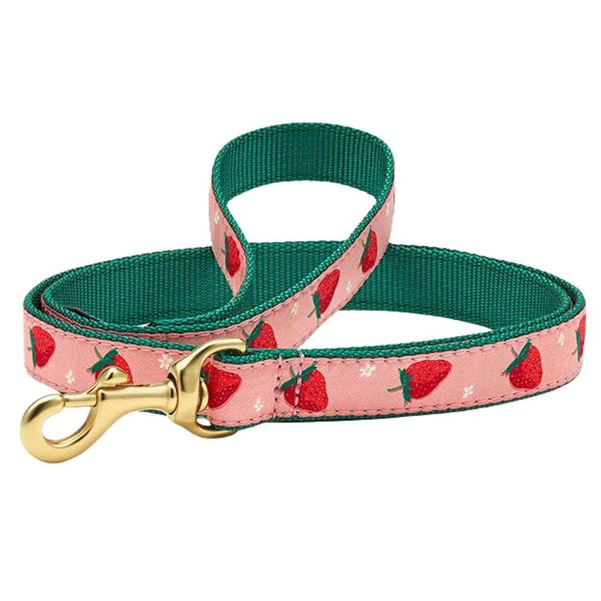 Strawberry Fields Dog Collar A232924