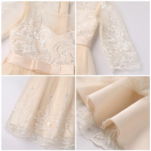 Lace Puffy Tulle Dress X891215