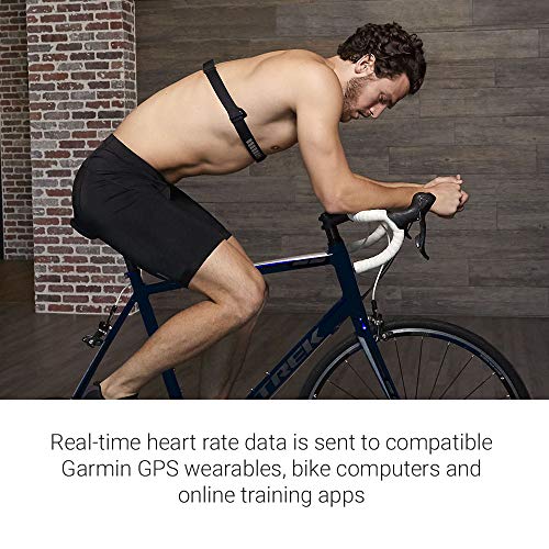 Indoor Rowing Machine with PM5 Monitor F57878