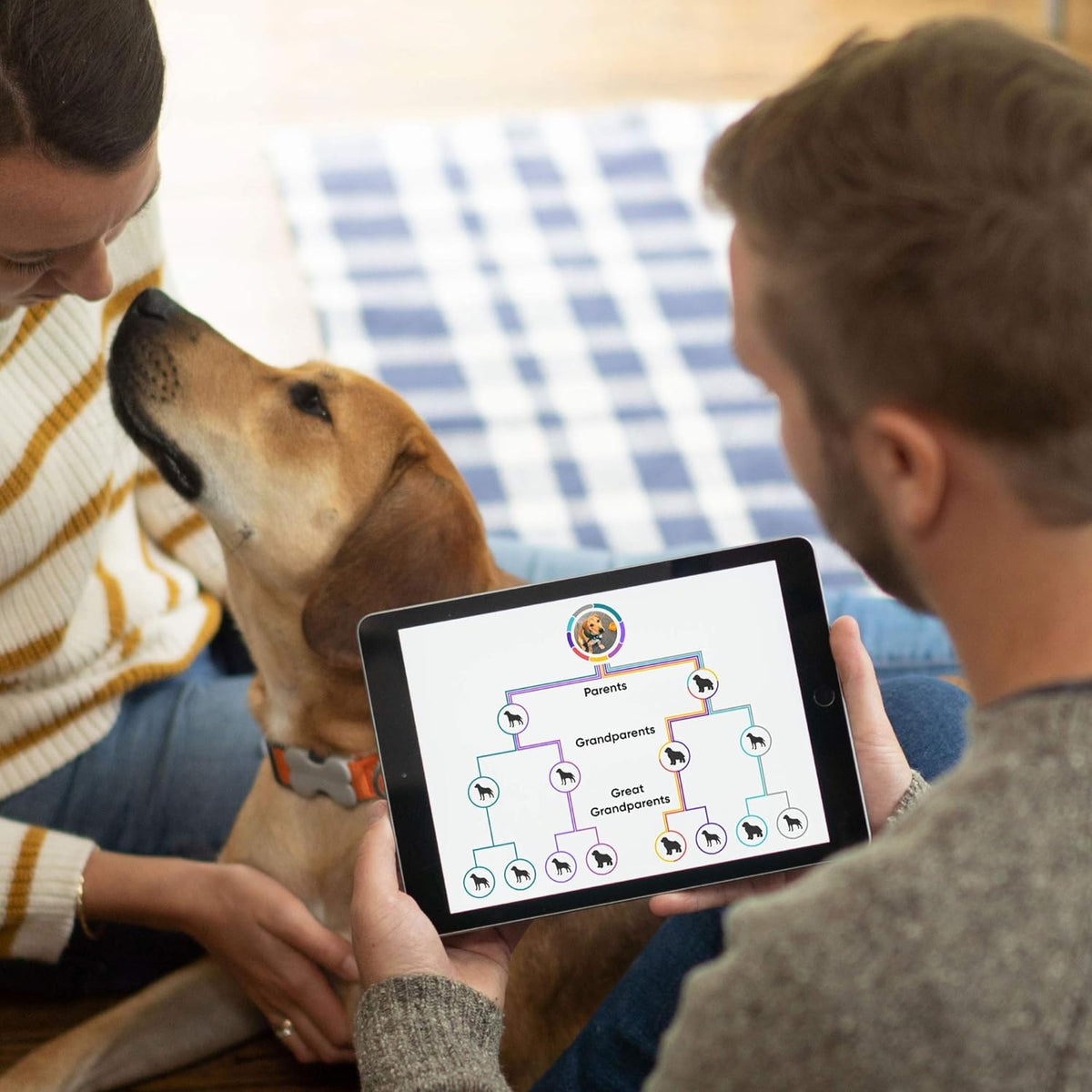 Dog DNA Test Breed Identification Kit G820709