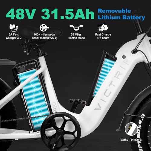 Electric Trike 20" Fat Tire 750W 48V 31.5Ah Removable Dual Battery 3 Wheel Electric Bicycle with Large Basket G497172