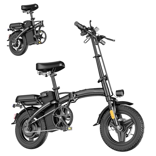 Folding Electric Bike 500W 48V 12AH A9156