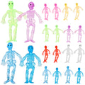 20 Pcs Colorful Skeleton Toy G2876