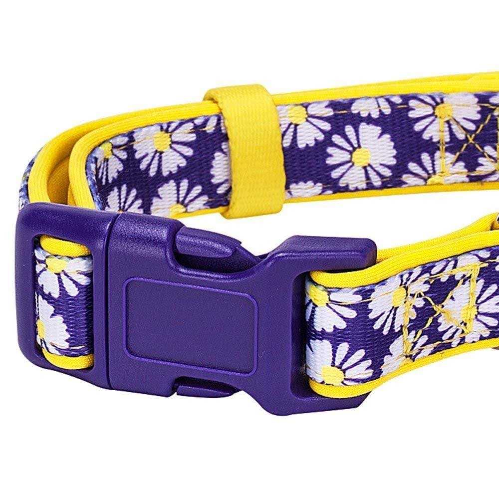 Dog Collar S449036