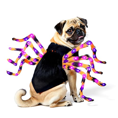 LED Spider Dog Halloween Costume with Multicolor Lights T13532
