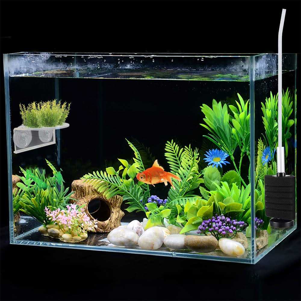 Transparent Acrylic Aquarium Shelf with Suction Cups L5771