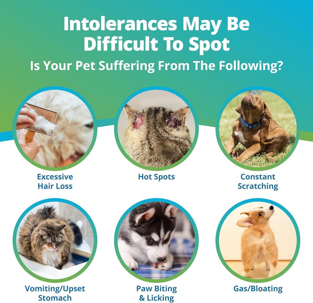 Pet Raw Food Intolerance & Environmental Sensitivity Test, Hair Sample Collection Kit B5008