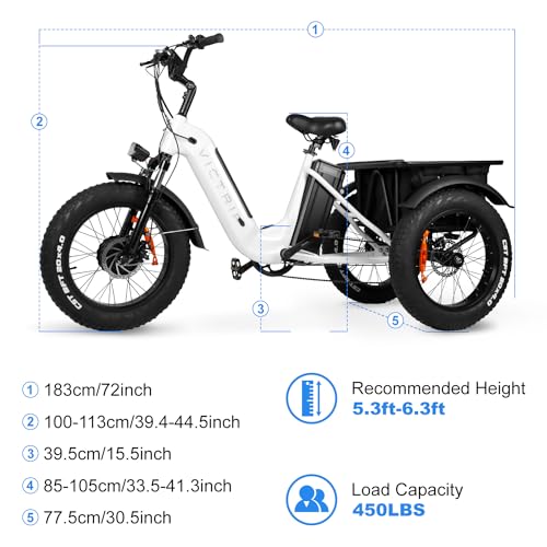 Electric Trike 20" Fat Tire 750W 48V 31.5Ah Removable Dual Battery 3 Wheel Electric Bicycle with Large Basket G497172