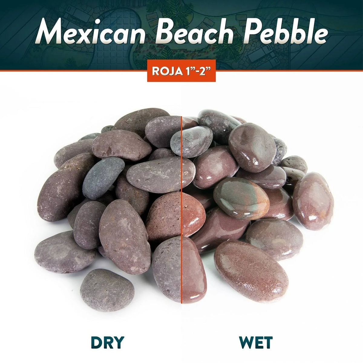 Mexican Beach Pebbles 40 lbs Smooth Round Stones I90210