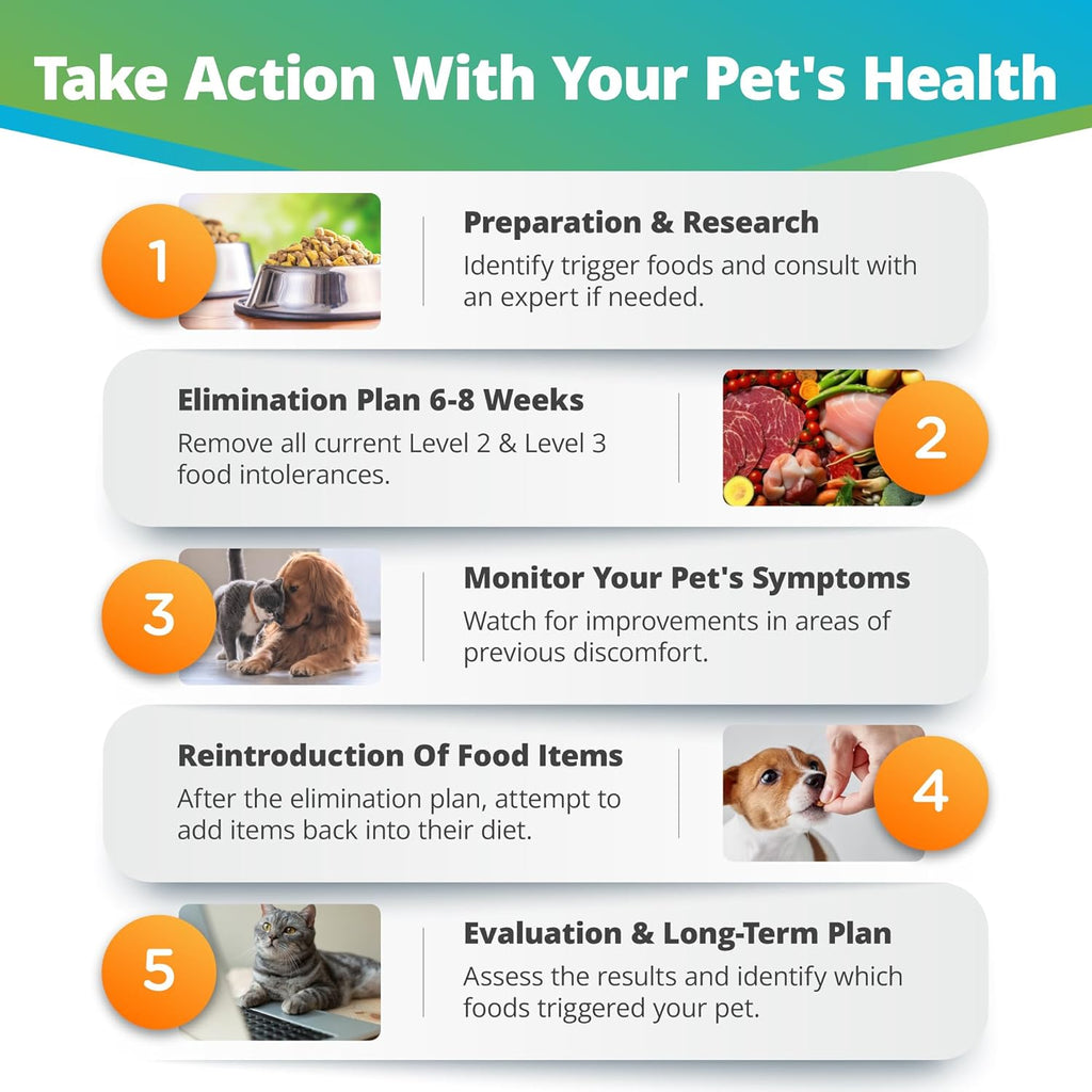 Pet Raw Food Intolerance & Environmental Sensitivity Test, Hair Sample Collection Kit B5008