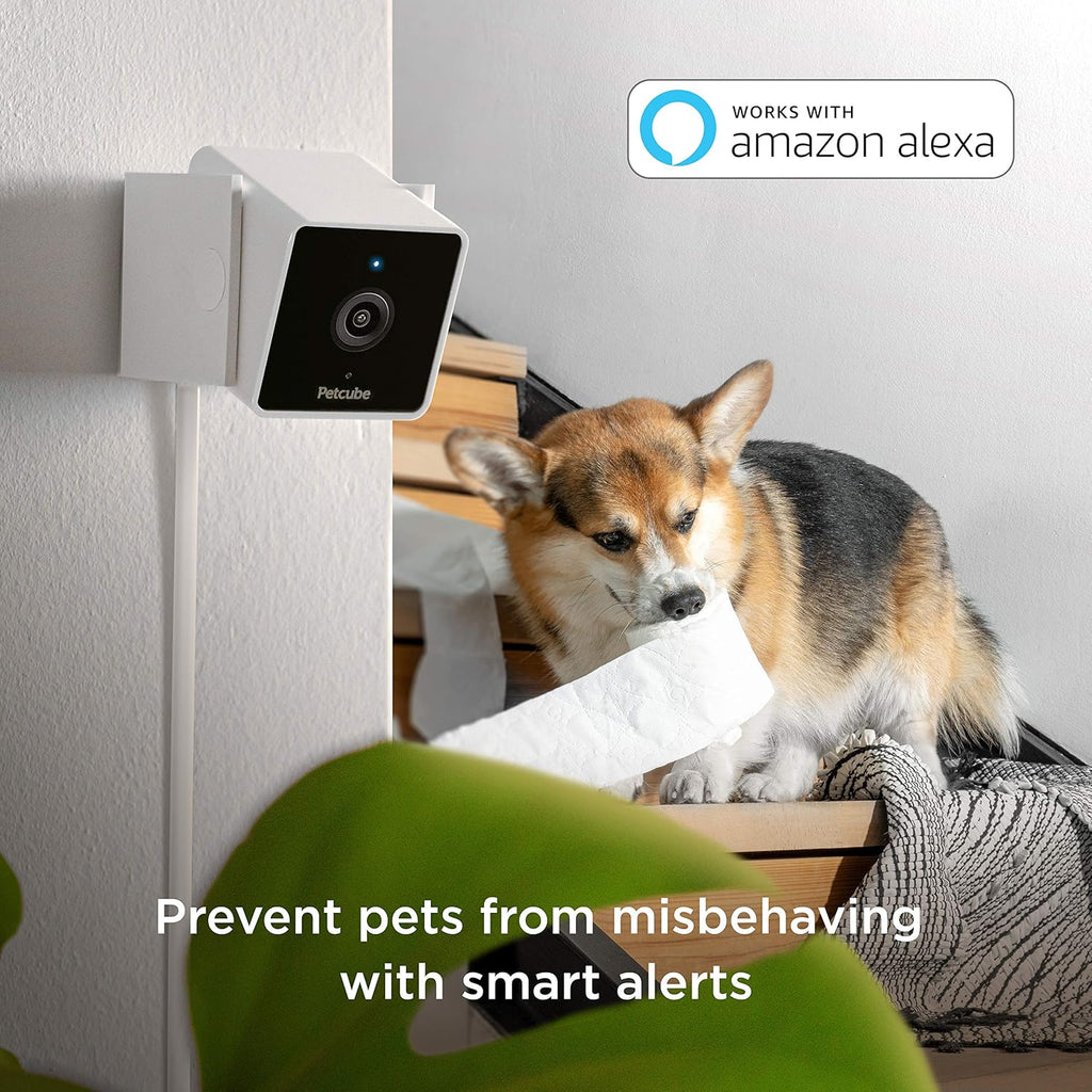 2 Pack Pet Monitoring Camera with Night Vision and Two-Way Audio Y22757