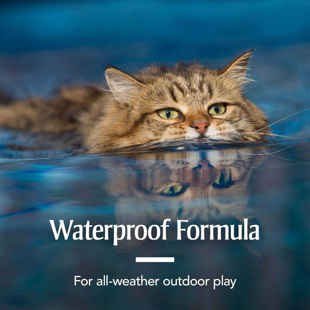Flea & Tick Spot Treatment for Cats O98388