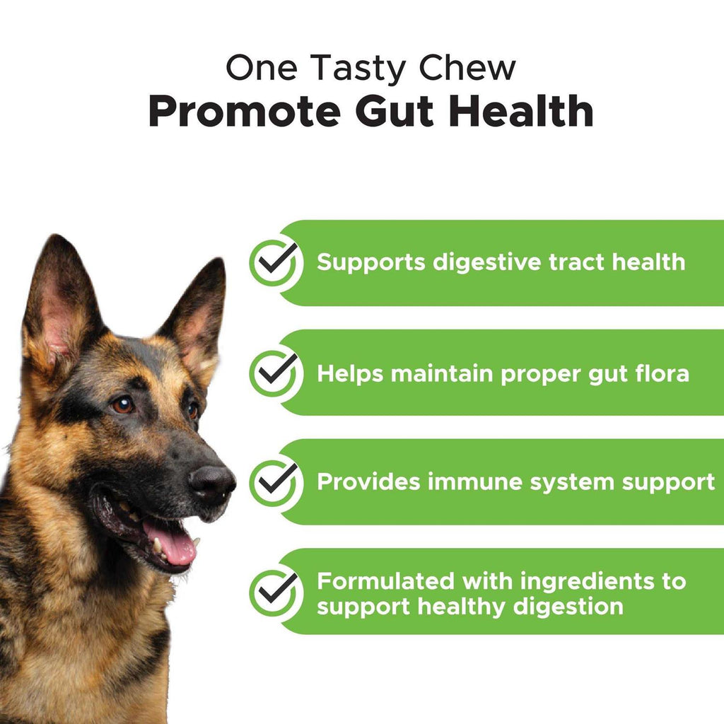 Digestive Probiotics Soft Chews I758