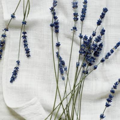 White Lavender Large Candle N63647