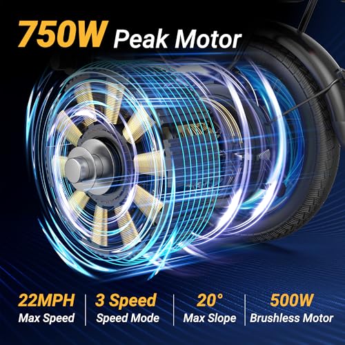 14" Folding Electric Bike with 750W Motor K86854