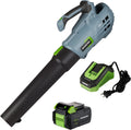 20V Cordless Leaf Blower with 5 Adjustable Speeds, 350 CFM, 4.0Ah Battery and Charger T2880