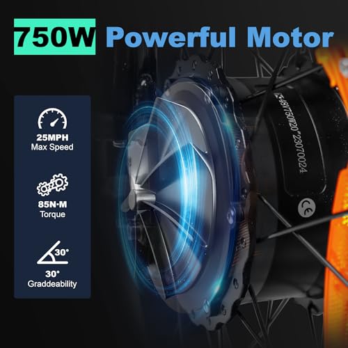 Electric Trike 20" Fat Tire 750W 48V 31.5Ah Removable Dual Battery 3 Wheel Electric Bicycle with Large Basket G497172