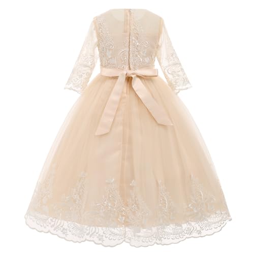 Lace Puffy Tulle Dress X891215