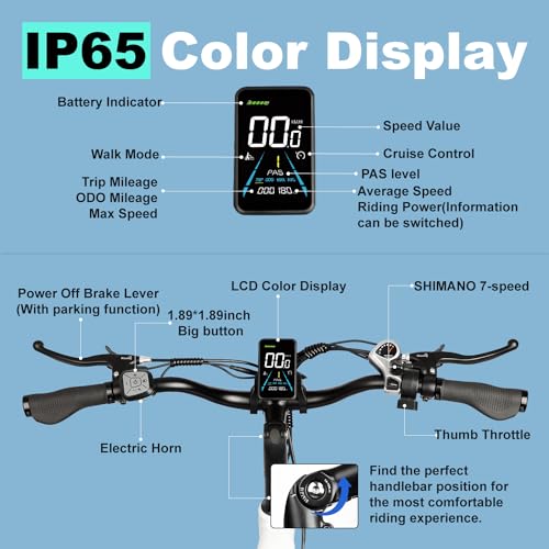 Electric Trike 20" Fat Tire 750W 48V 31.5Ah Removable Dual Battery 3 Wheel Electric Bicycle with Large Basket G497172