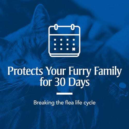 Flea & Tick Spot Treatment for Cats O98388
