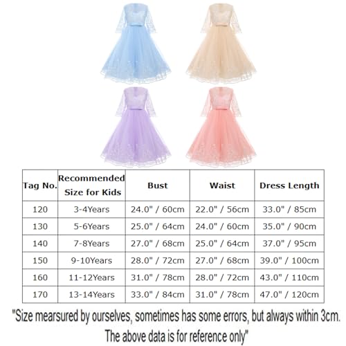 Lace Puffy Tulle Dress X891215