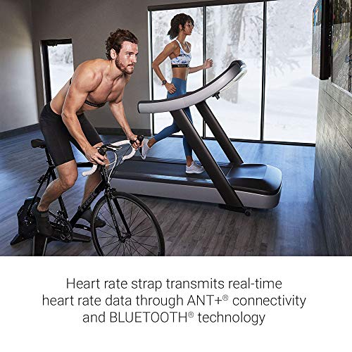 Indoor Rowing Machine with PM5 Monitor F57878