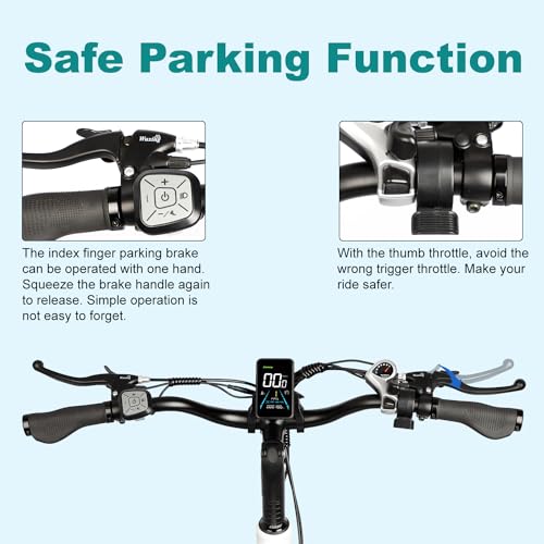 Electric Trike 20" Fat Tire 750W 48V 31.5Ah Removable Dual Battery 3 Wheel Electric Bicycle with Large Basket G497172