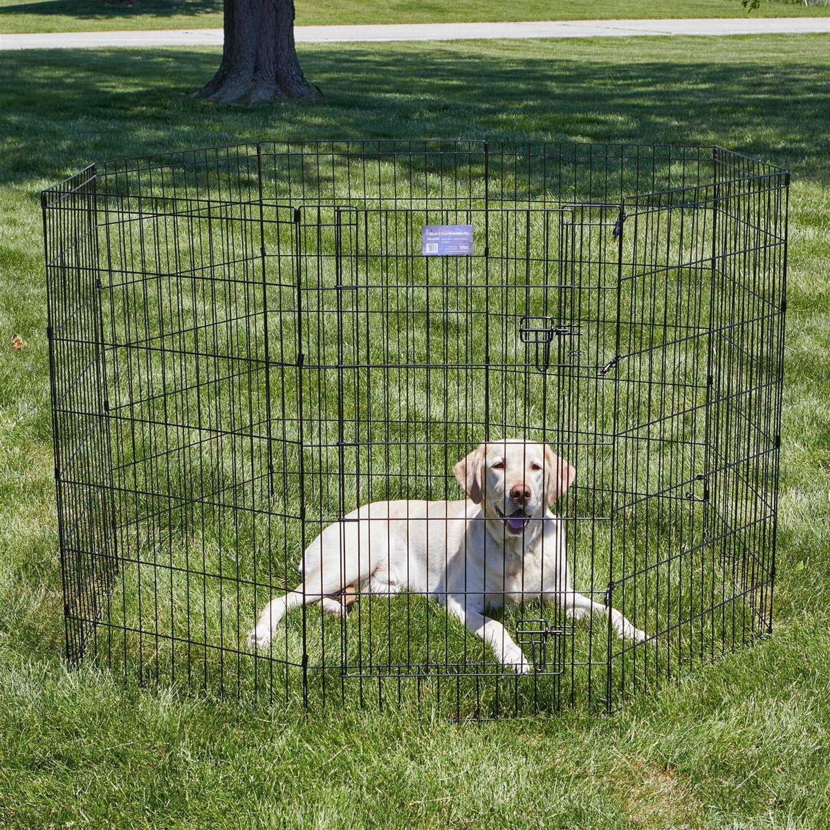 Black Exercise Pen with Door D966275