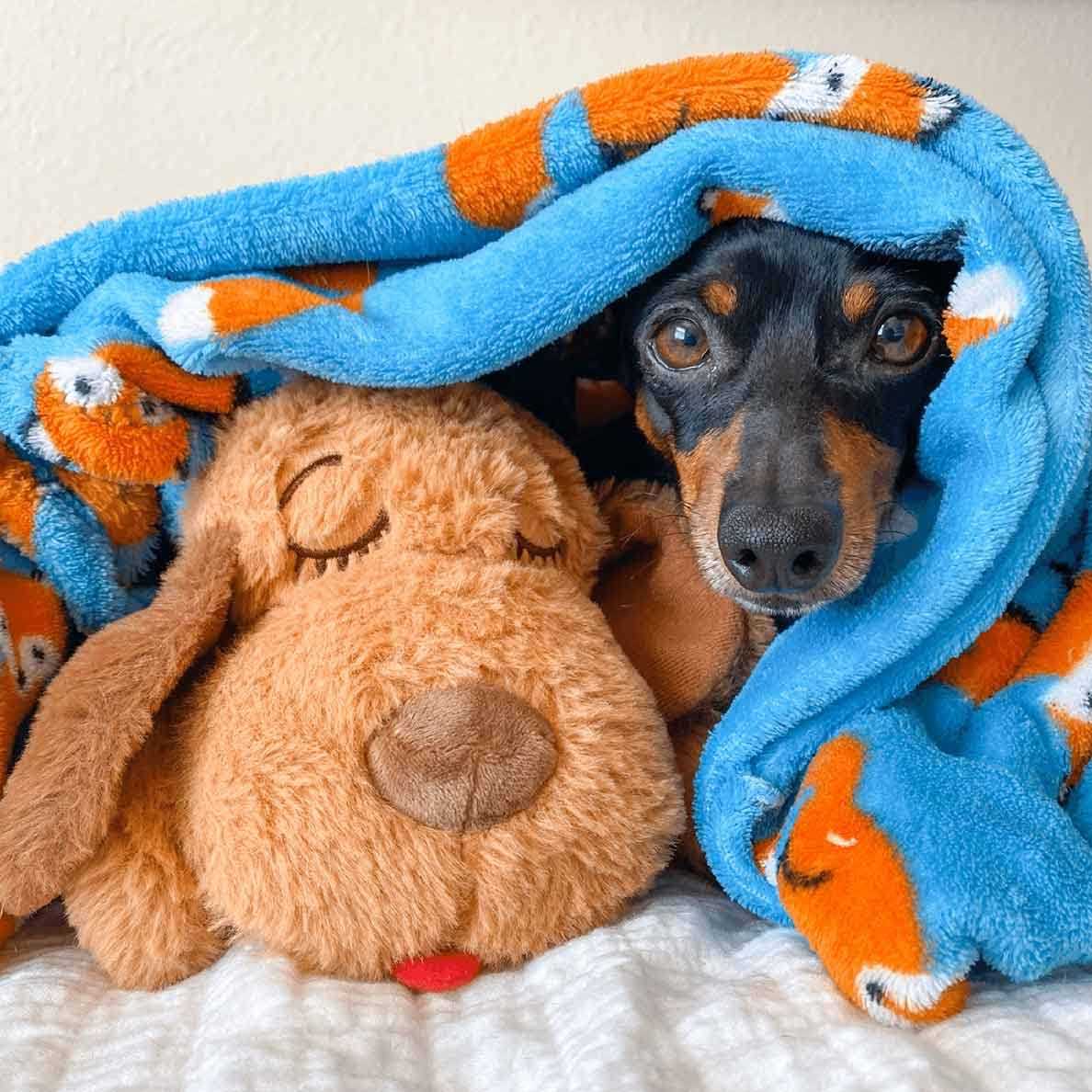 Brown Mutt U301875