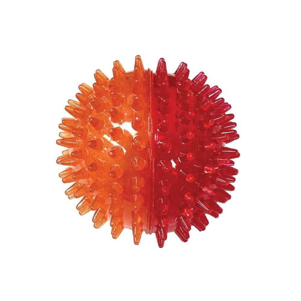 Spiky Ball Dog Toy D8081
