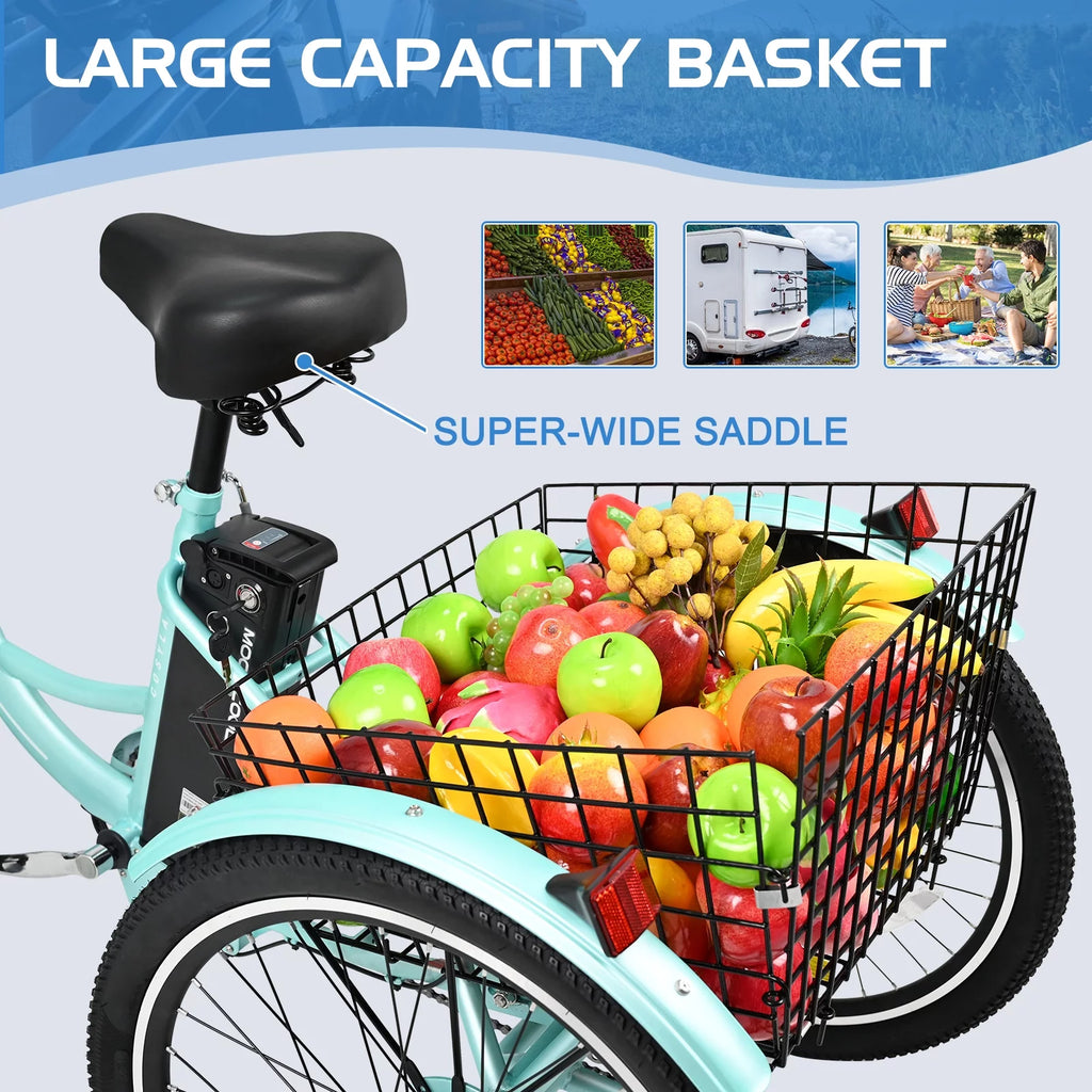 Electric Tricycle with Removable Lithium Battery W733