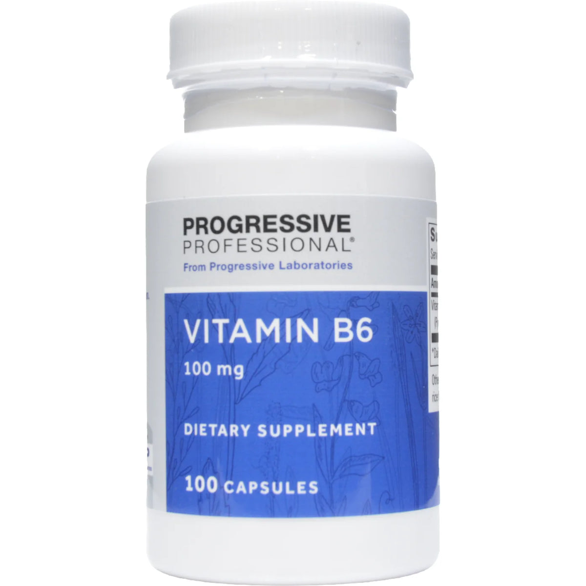 Vitamin B6 100 mg 100 caps T453029