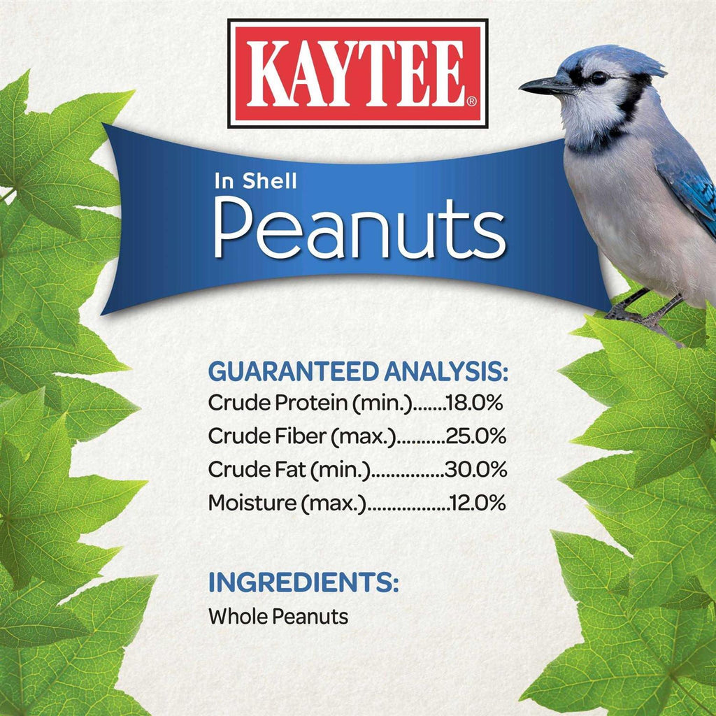 In Shell Peanuts R5749