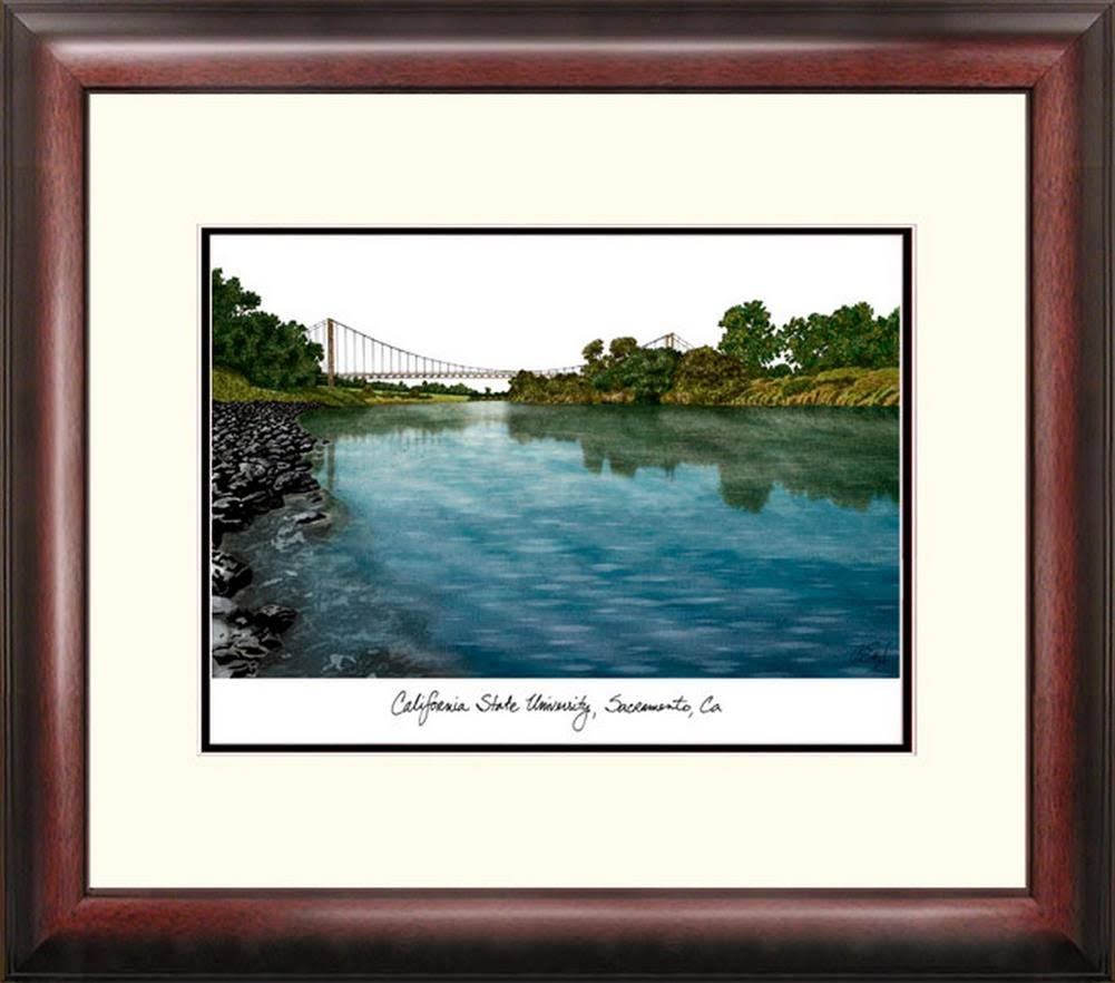 Framed Lithograph D6936