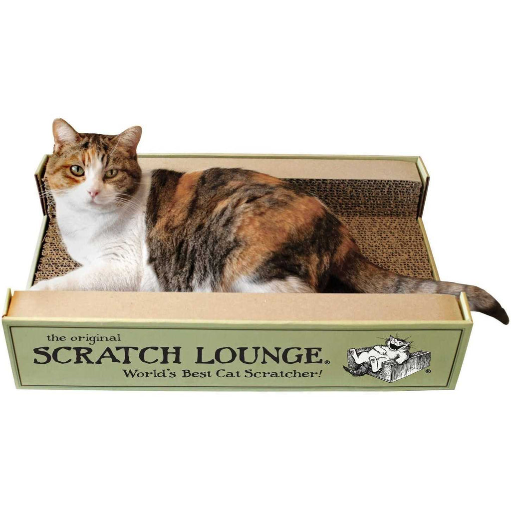 Scratch Lounge Z2944