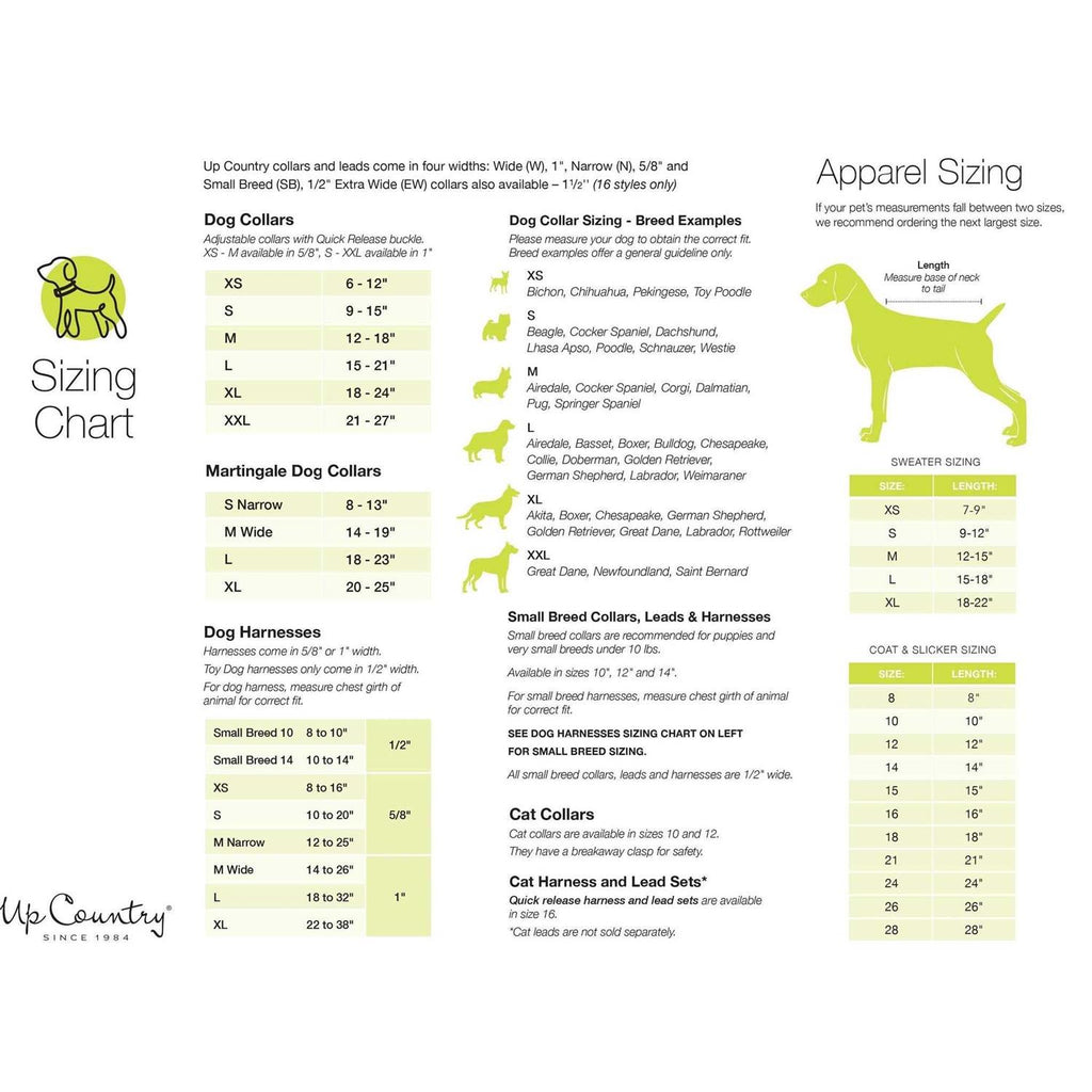 Strawberry Fields Dog Collar A232924