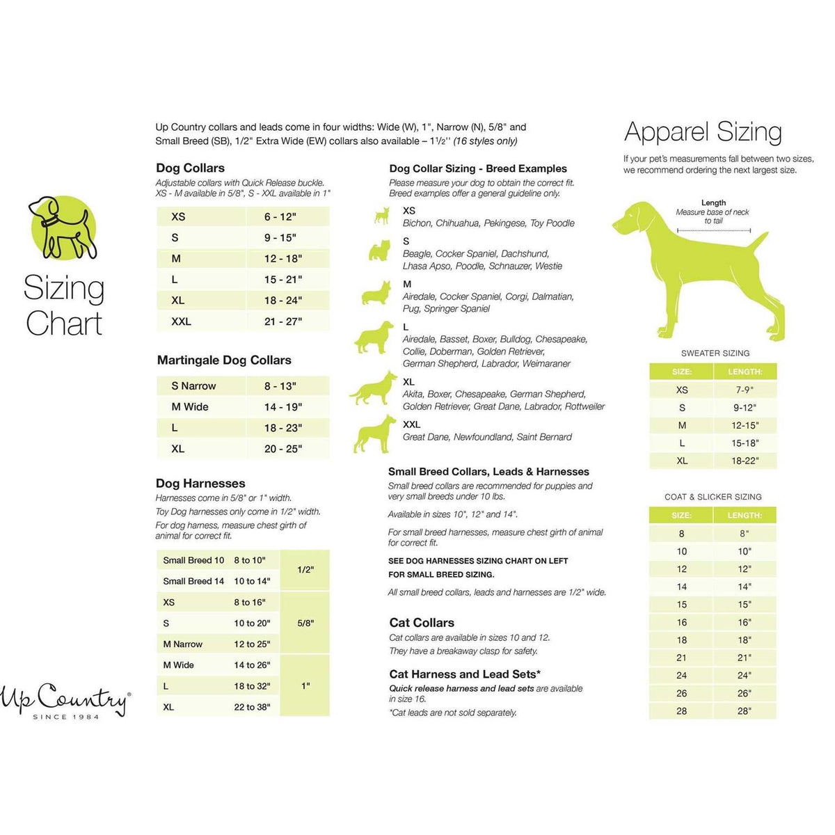 Strawberry Fields Dog Collar A232924