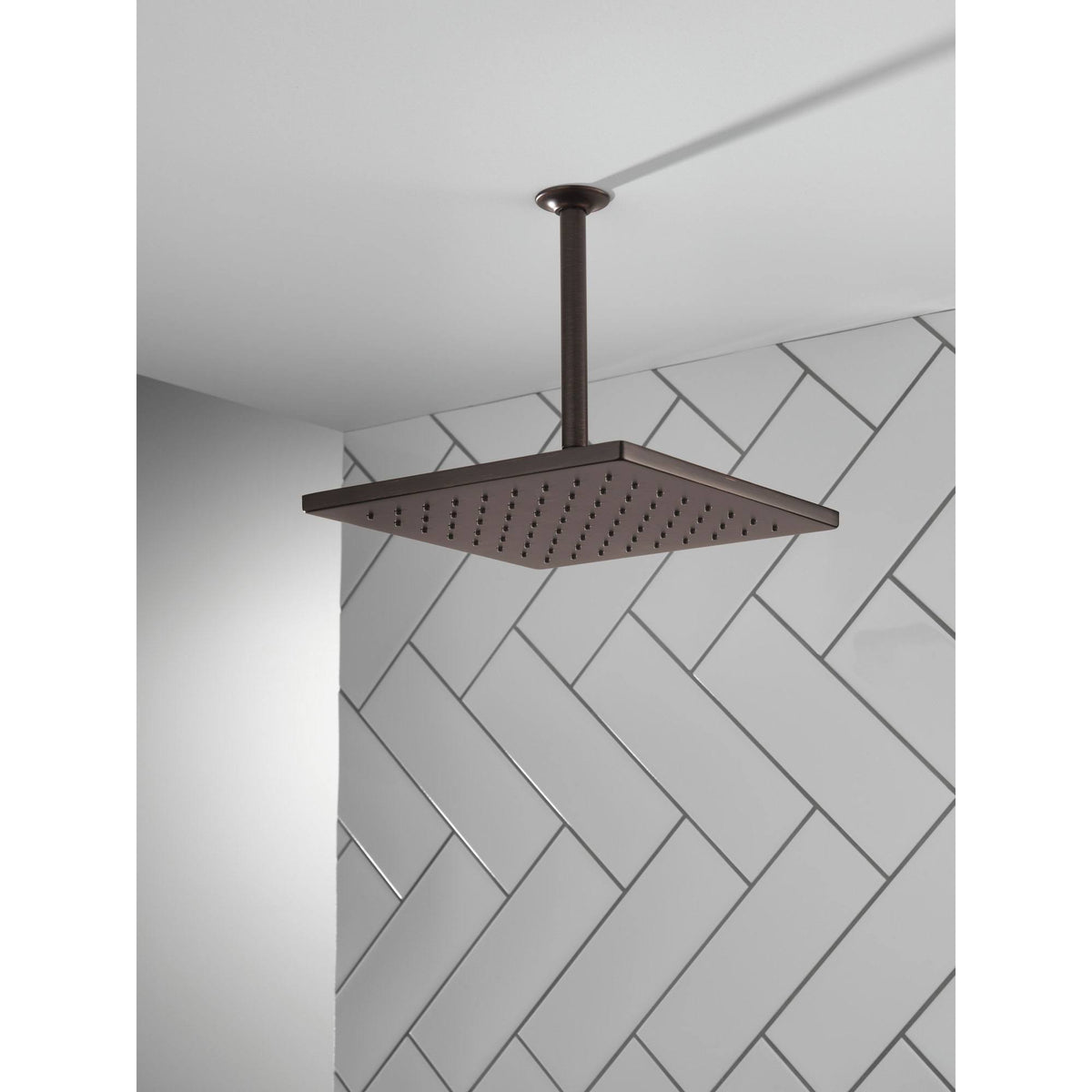 Venetian Bronze Metal Raincan Shower Head Y668