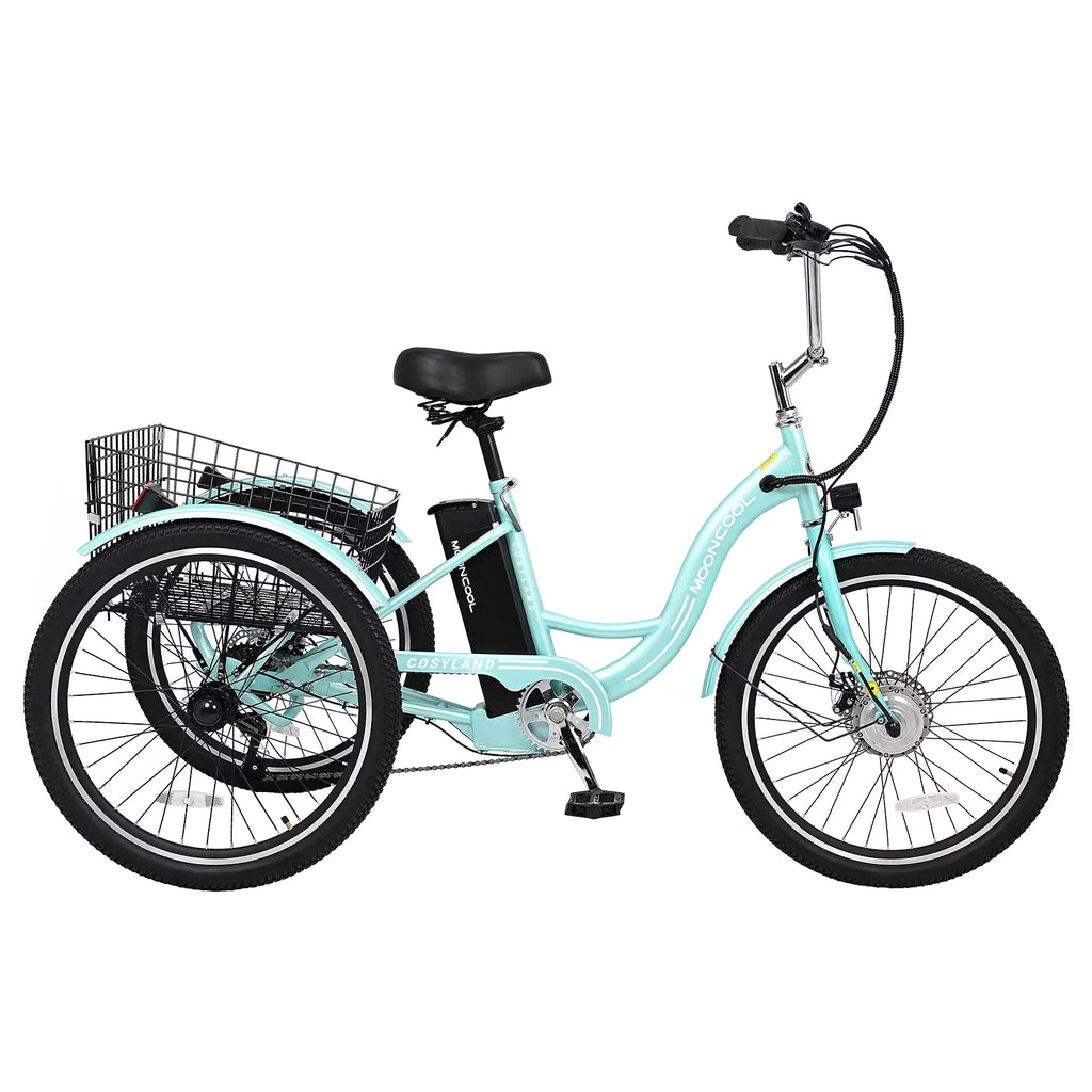 Electric Tricycle with Removable Lithium Battery W733