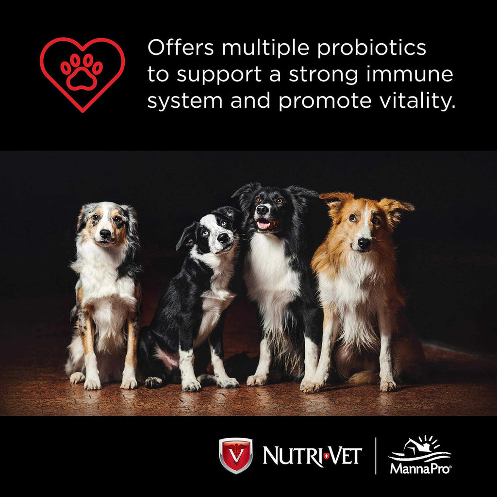 Probiotics for Dogs S140900