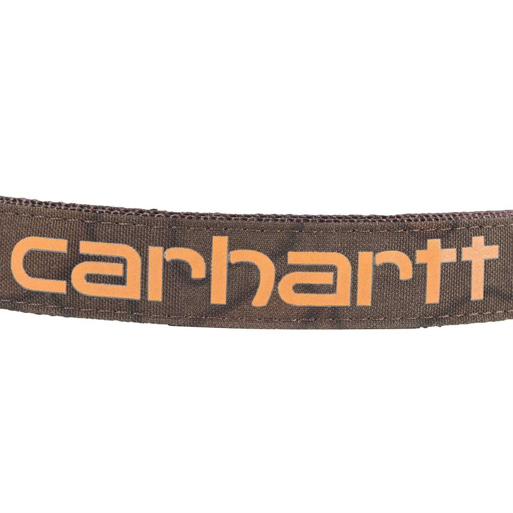 Nylon Dog Collar X6417