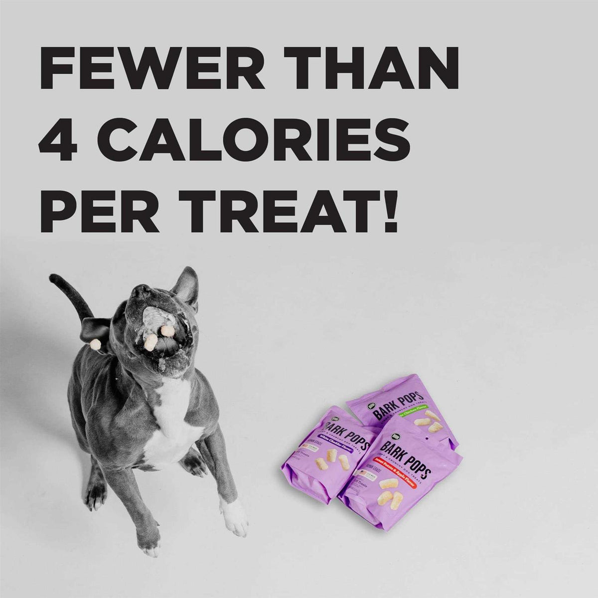 Dog Treats Q122
