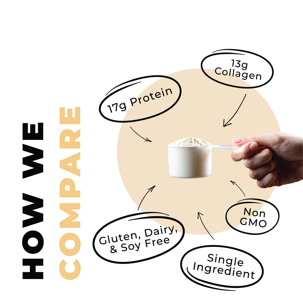 Grass Fed Collagen Protein Powder, Vanilla, 16 oz L1186