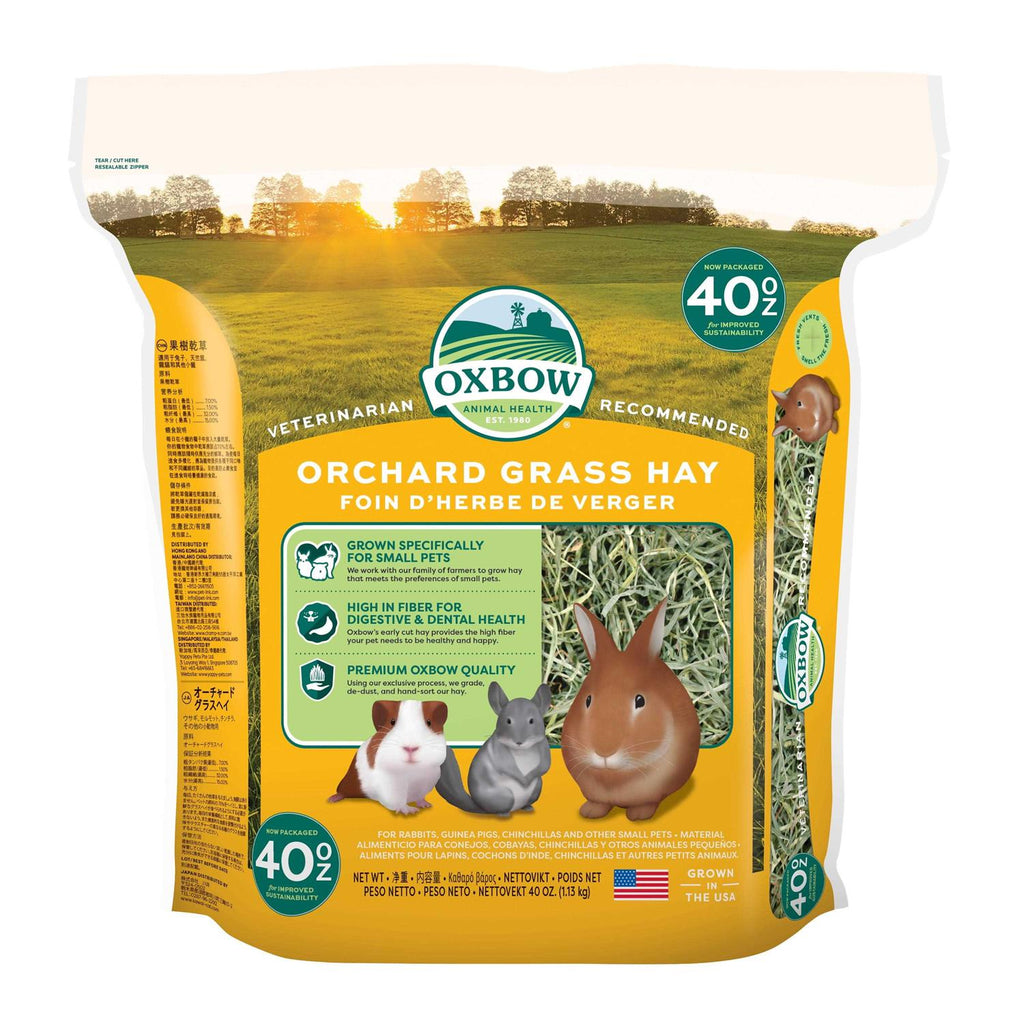 Orchard Grass Hay C9308
