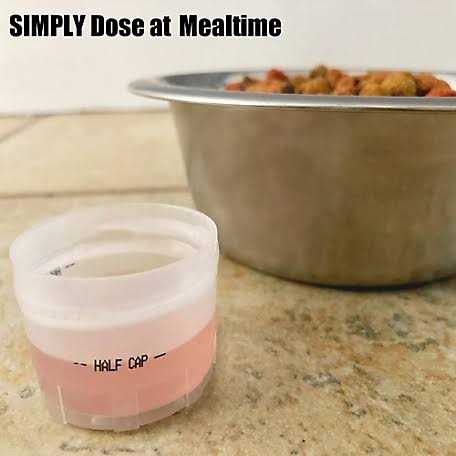 Dog Teeth and Gums Support Formula I918