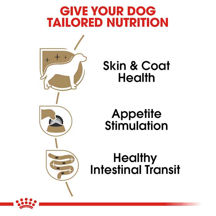 Adult Wet Dog Food R74594