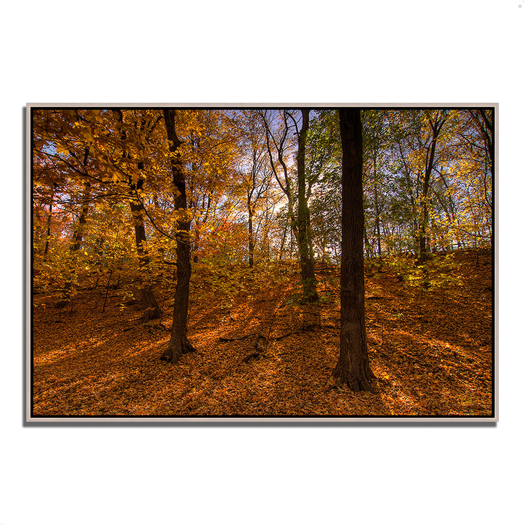 Gold Framed Photographic Print N4560