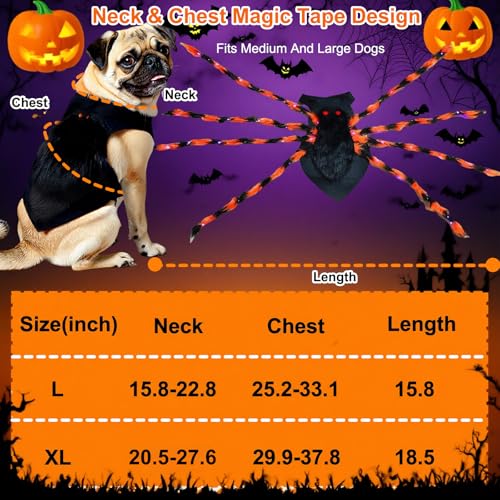 LED Spider Dog Halloween Costume with Multicolor Lights T13532