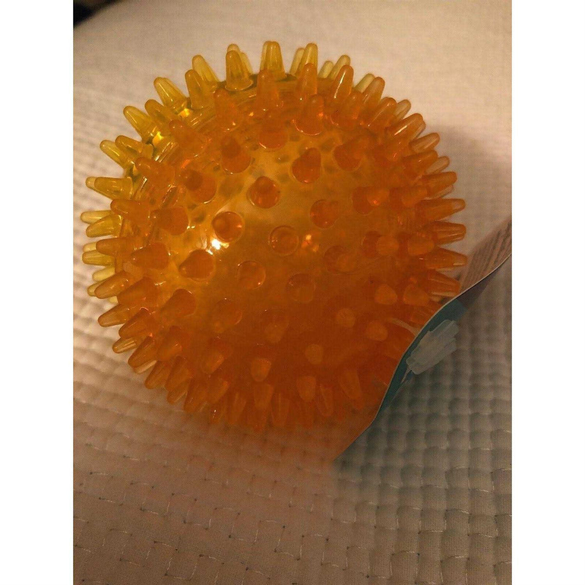 Spiky Ball Dog Toy D8081