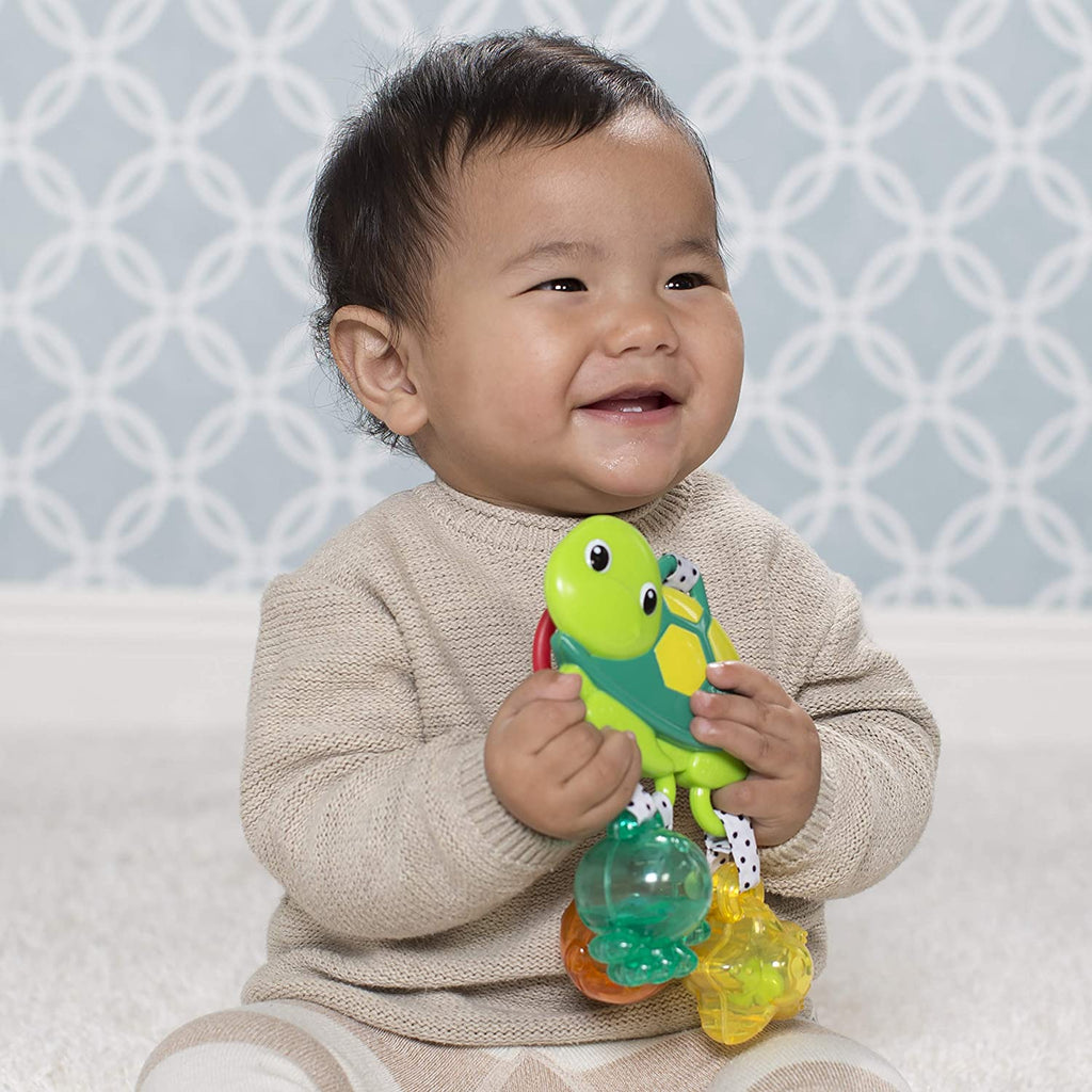 Turtle Rattle N784979
